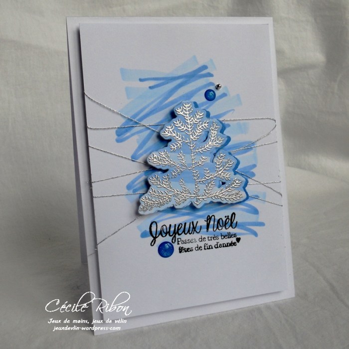 Carte CTD469 - DSCN3890