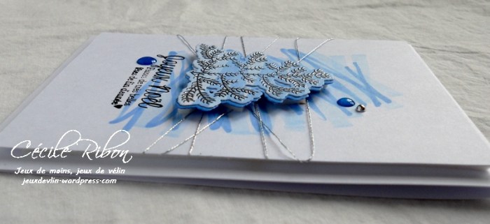 Carte CTD469 - DSCN3896