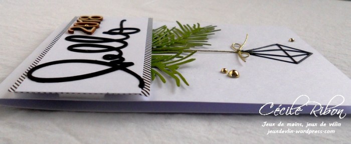 Carte CTS247 - DSCN3863