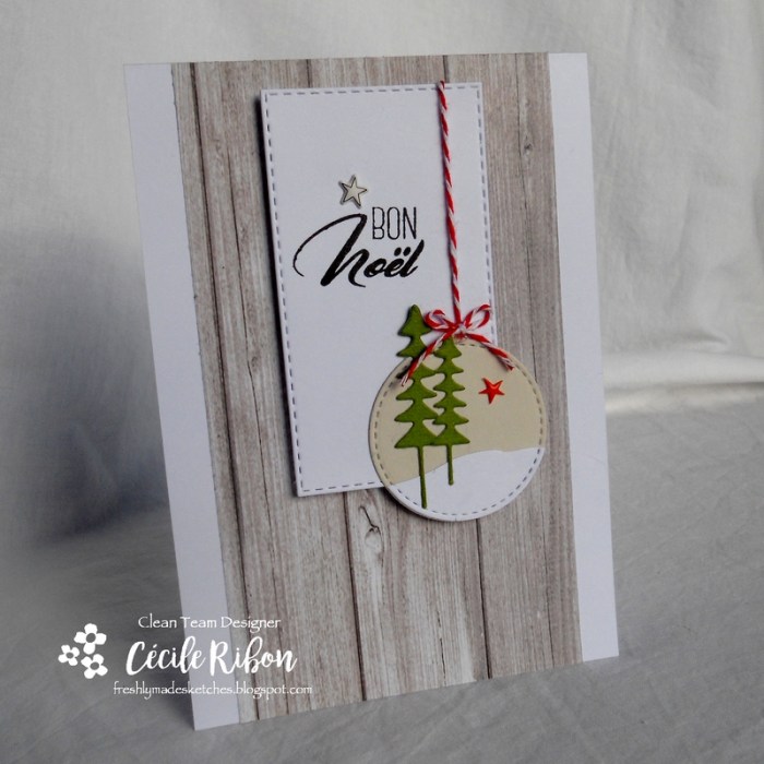 Carte FMS311 - DSCN3609