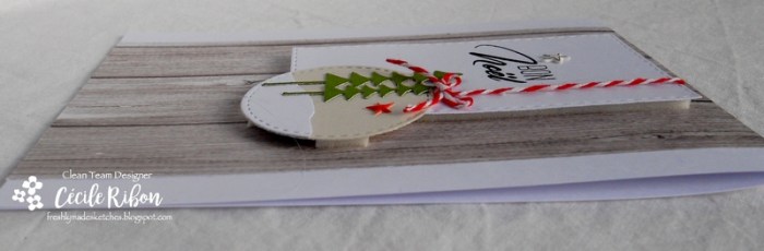 Carte FMS311 - DSCN3612