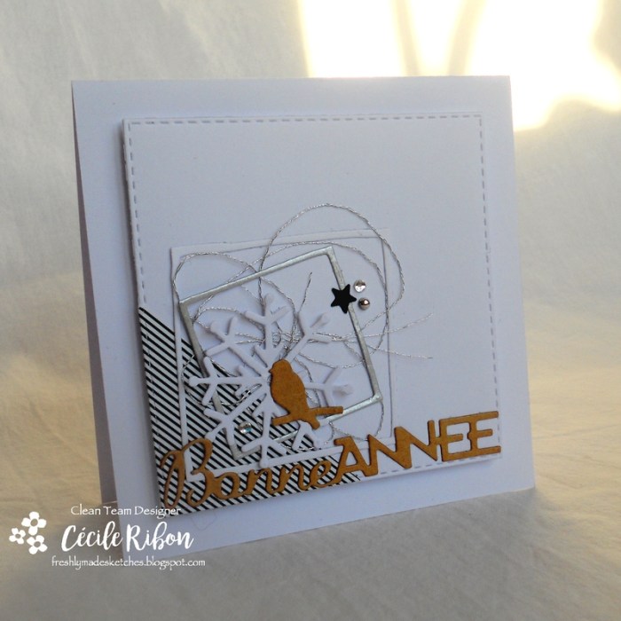 Carte FMS312 - DSCN3716