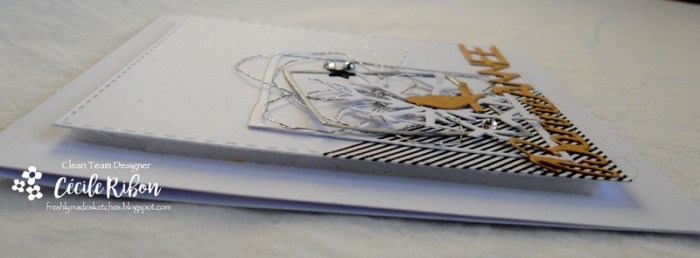 Carte FMS312 - DSCN3717