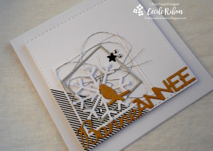 Carte FMS312 - DSCN3721