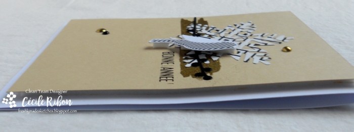 Carte FMS314 - DSCN3837