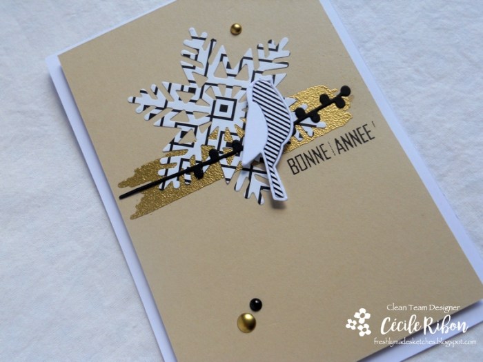 Carte FMS314 - DSCN3838