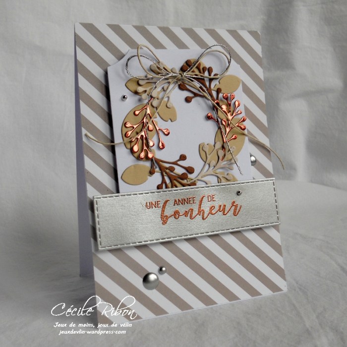 Carte FUSION27 - DSCN3876