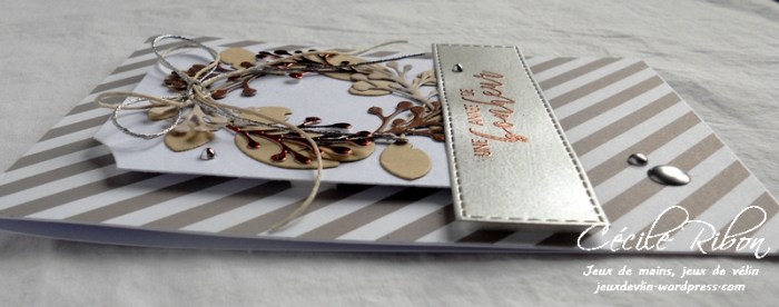 Carte Fusion27 - DSCN3879