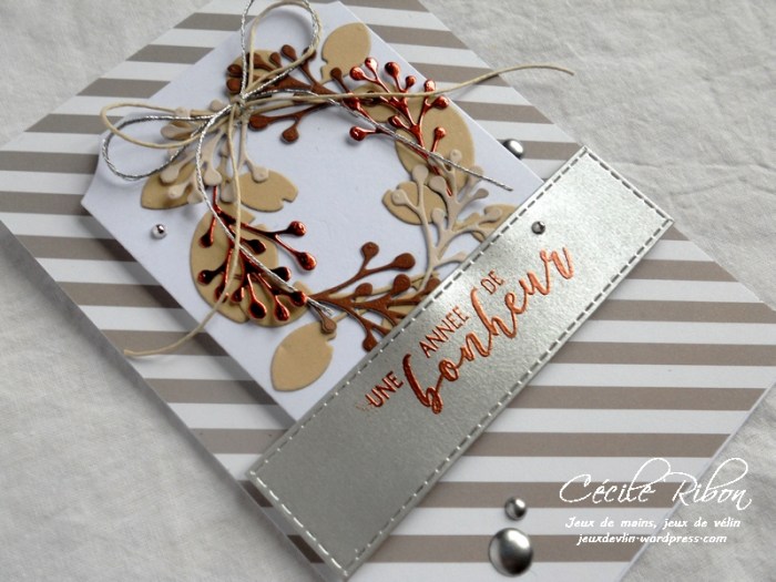 Carte Fusion27 - DSCN3884