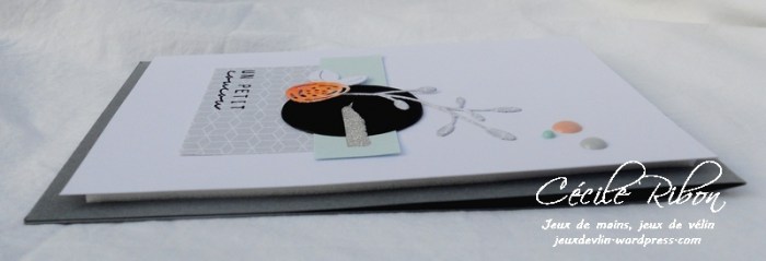 Carte LittleScrap43 - DSCN2234