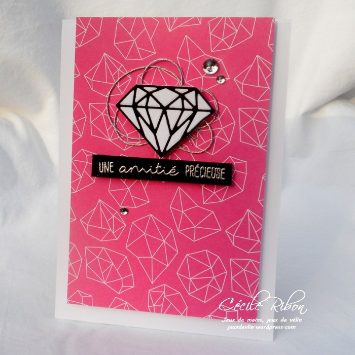 Carte LittleScrap48 - DSCN2307