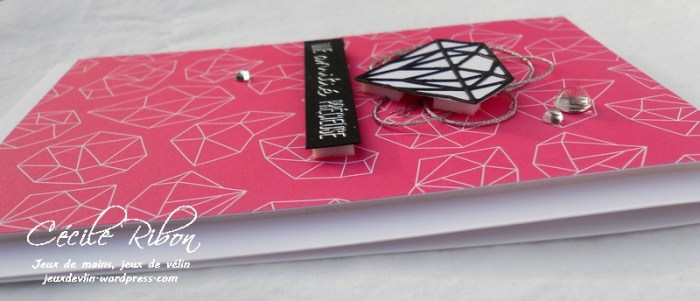 Carte LittleScrap48 - DSCN2309