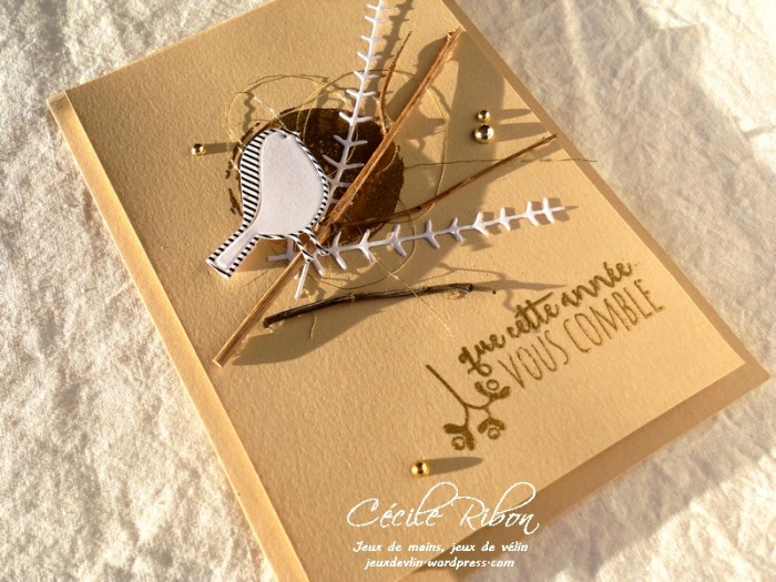 Carte Maniak166-3 - DSCN3975