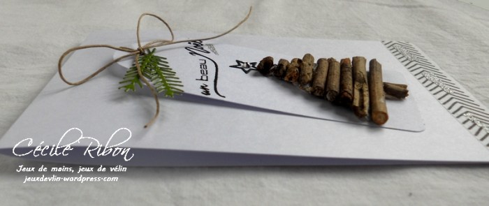 Carte Maniak166 - DSCN3911