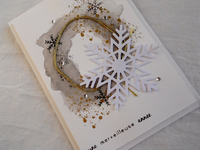 Carte PCC508 - DSCN3693