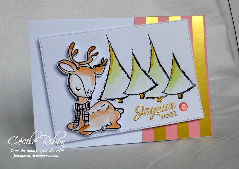 Carte Amandine - DSCN4590