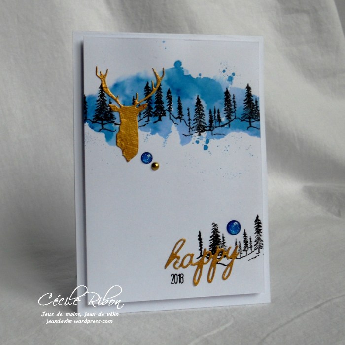 Carte Creablabla336 - DSCN4548