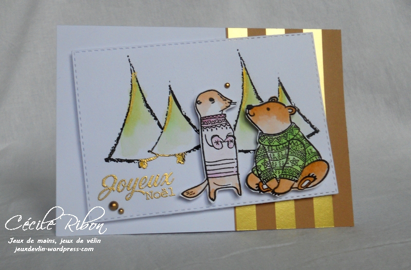 Carte F&C - DSCN4584