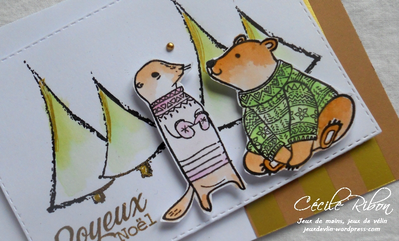 Carte F&C - DSCN4596