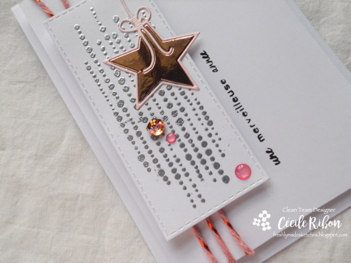 Carte FMS318 - DSCN4543