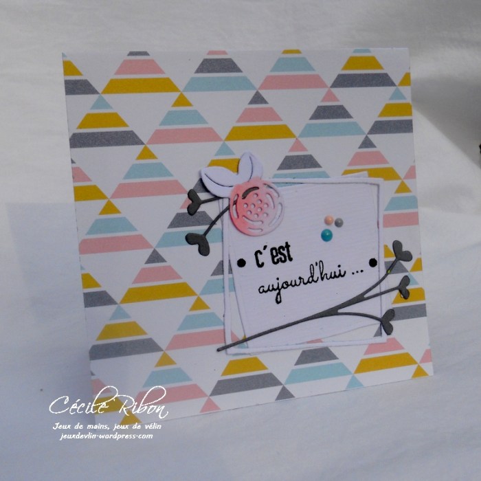 Carte LittleScrap51 - DSCN2409