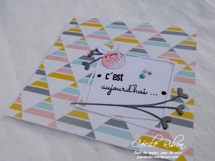 Carte LittleScrap51 - DSCN2417