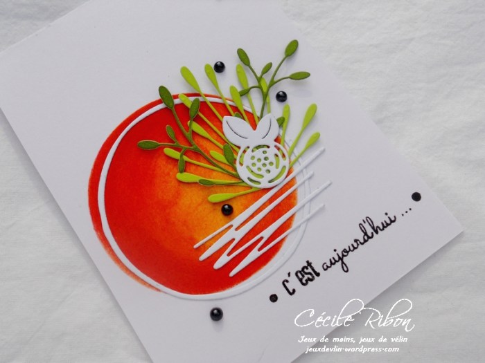 Carte LittleScrap52 - DSCN2432