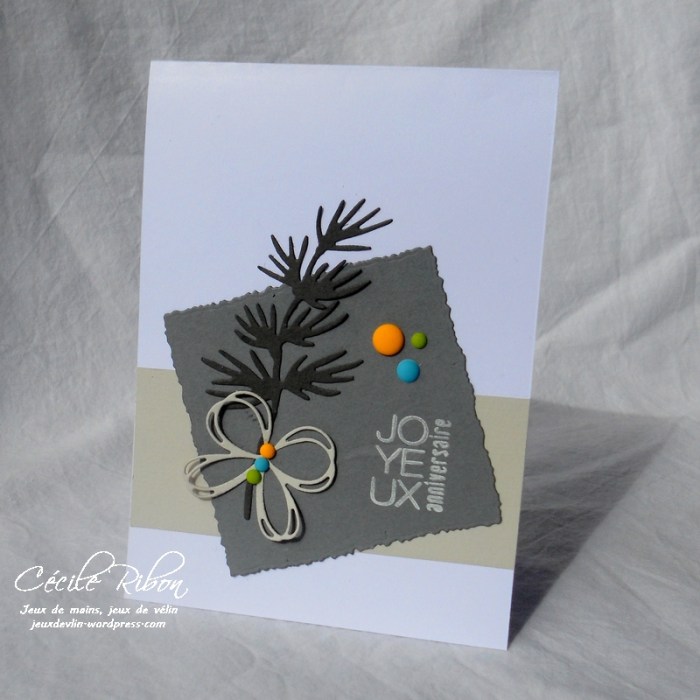 Carte LittleScrap55 - DSCN2910