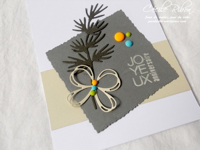 Carte LittleScrap55 - DSCN2917