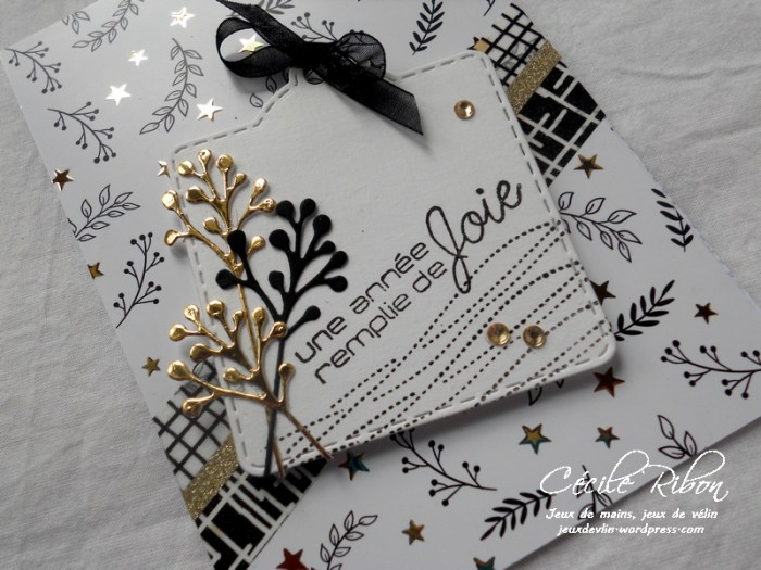 Carte AID26 2 - DSCN4766