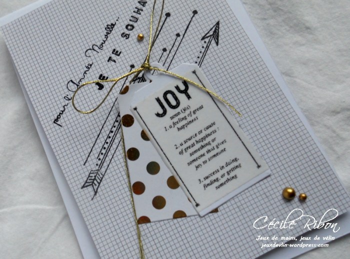 Carte AID26 - DSCN4752