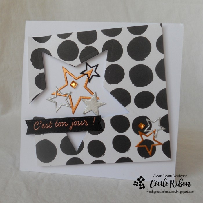 Carte FMS320 - DSCN4865