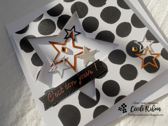 Carte FMS320 - DSCN4870