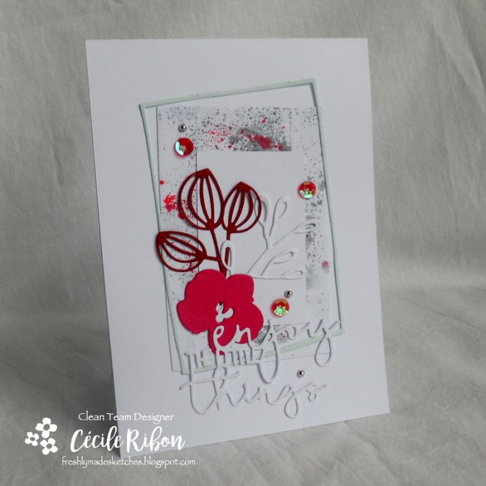 Carte FMS322 - DSCN4967