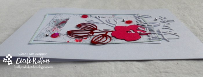 Carte FMS322 - DSCN4979