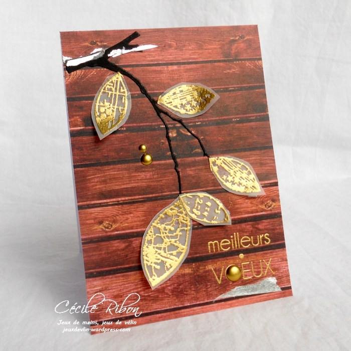 Carte LittleScrap60 - DSCN3560