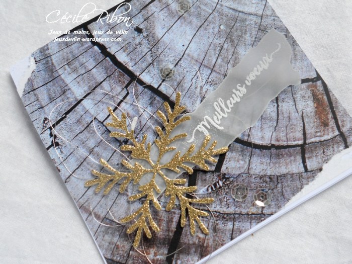 Carte LittleScrap69 - DSCN4963