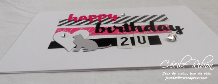 Carte VéroniqueK - DSCN2390