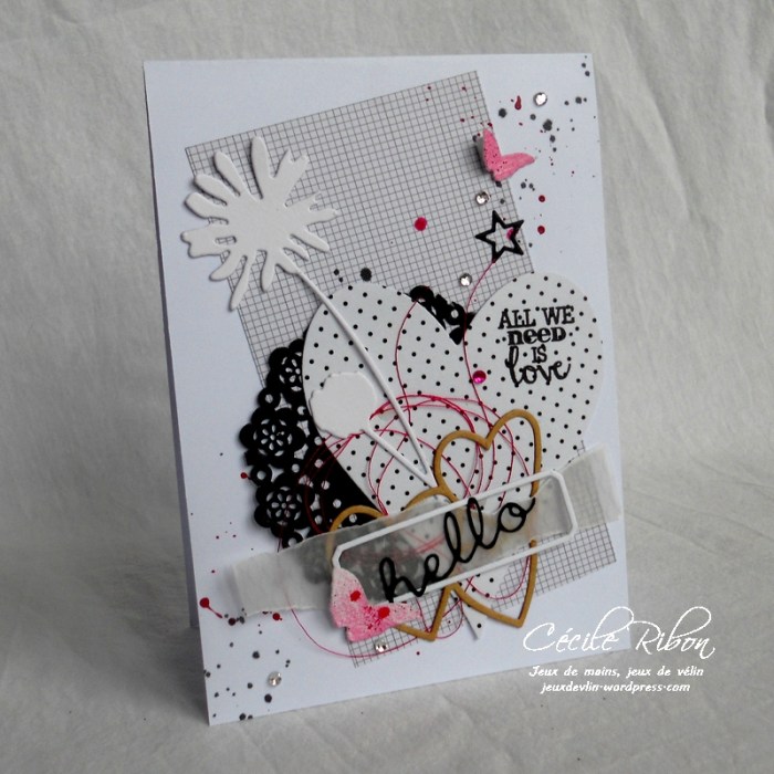 Carte AID27 - DSCN4985