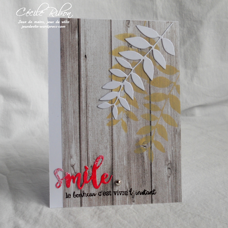 Carte AID28 - DSCN5174