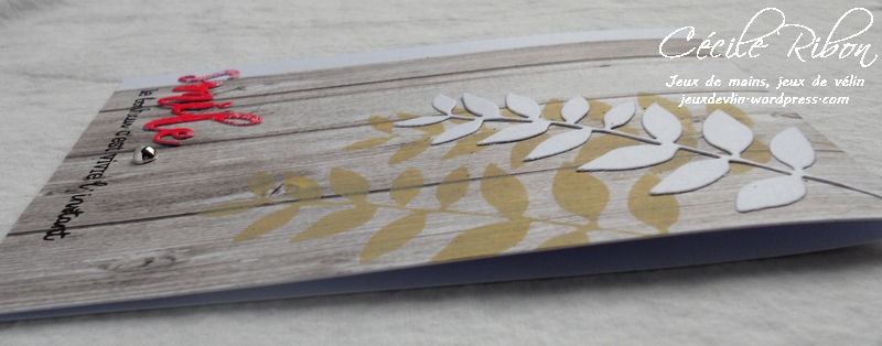 Carte AID28 - DSCN5178