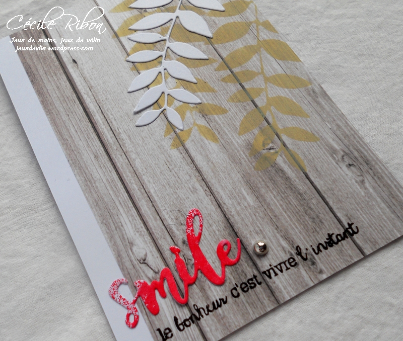 Carte AID28 - DSCN5182