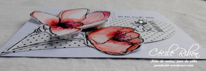 Carte CorinneM - DSCN2981