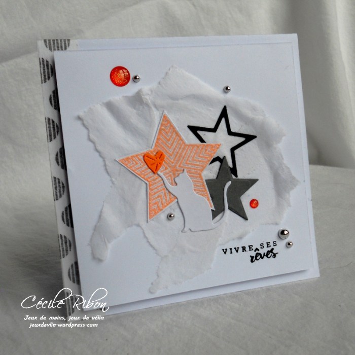 Carte Creablabla339 - DSCN5053