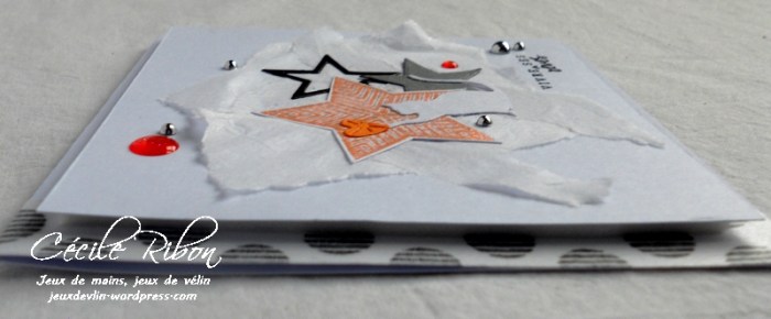 Carte Creablabla339 - DSCN5057