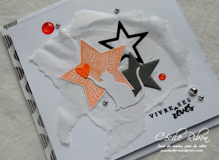 Carte Creablabla339 - DSCN5062