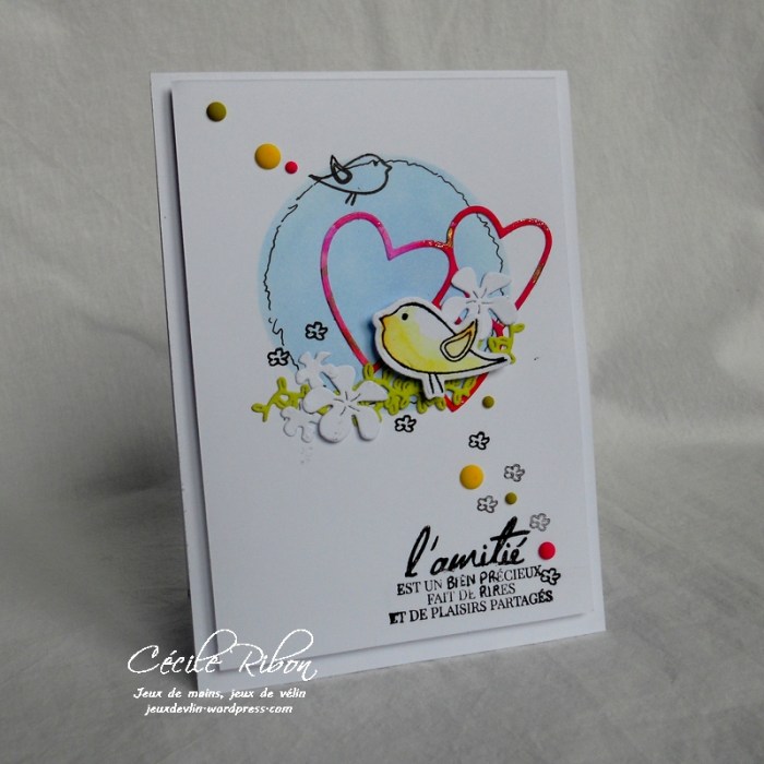 Carte CTD478 - DSCN5066