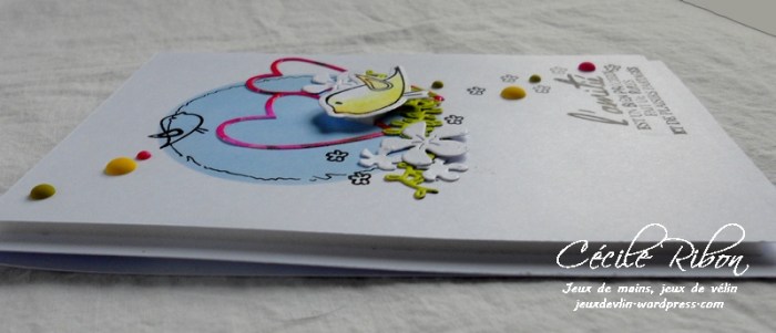 Carte CTD478 - DSCN5068