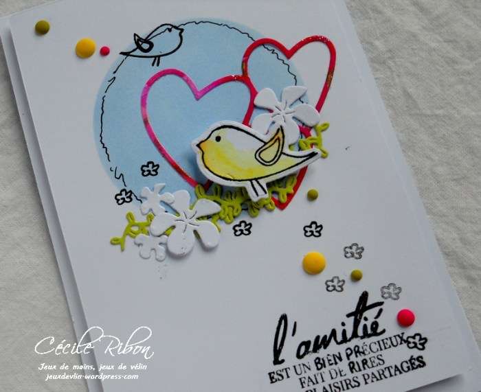 Carte CTD478 - DSCN5071