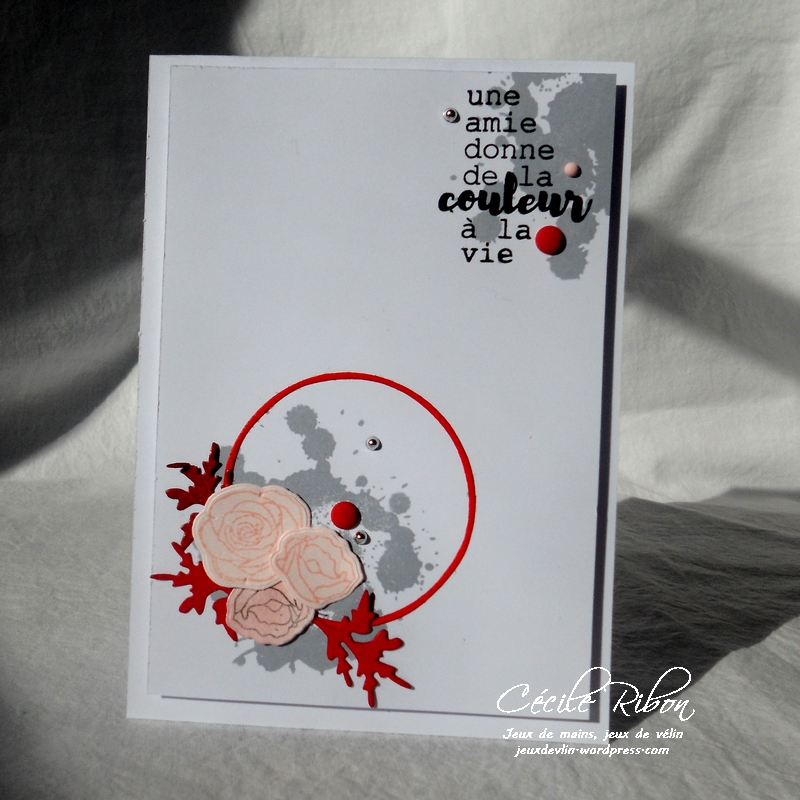 Carte CTD479 - DSCN5144